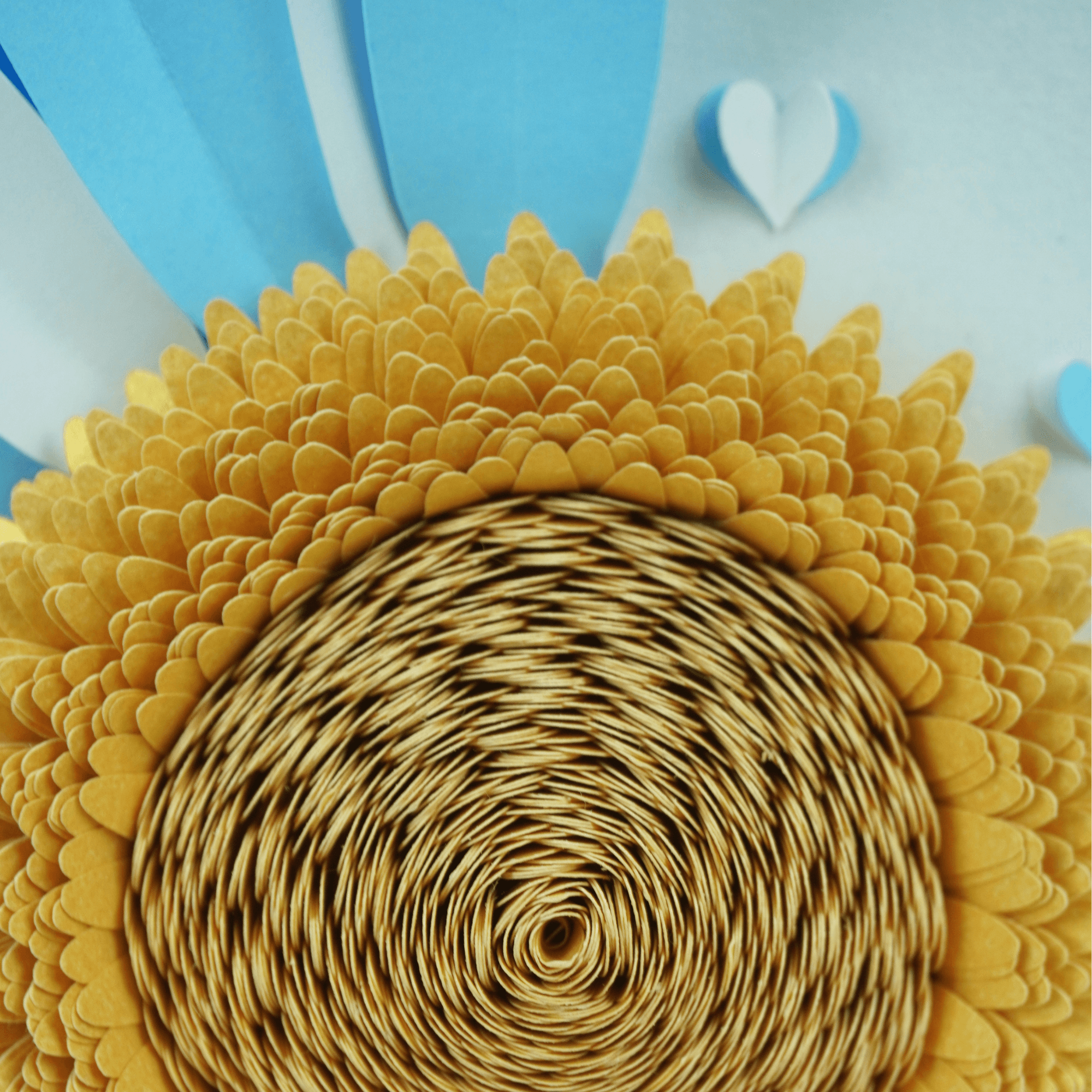 Girasol Argentina