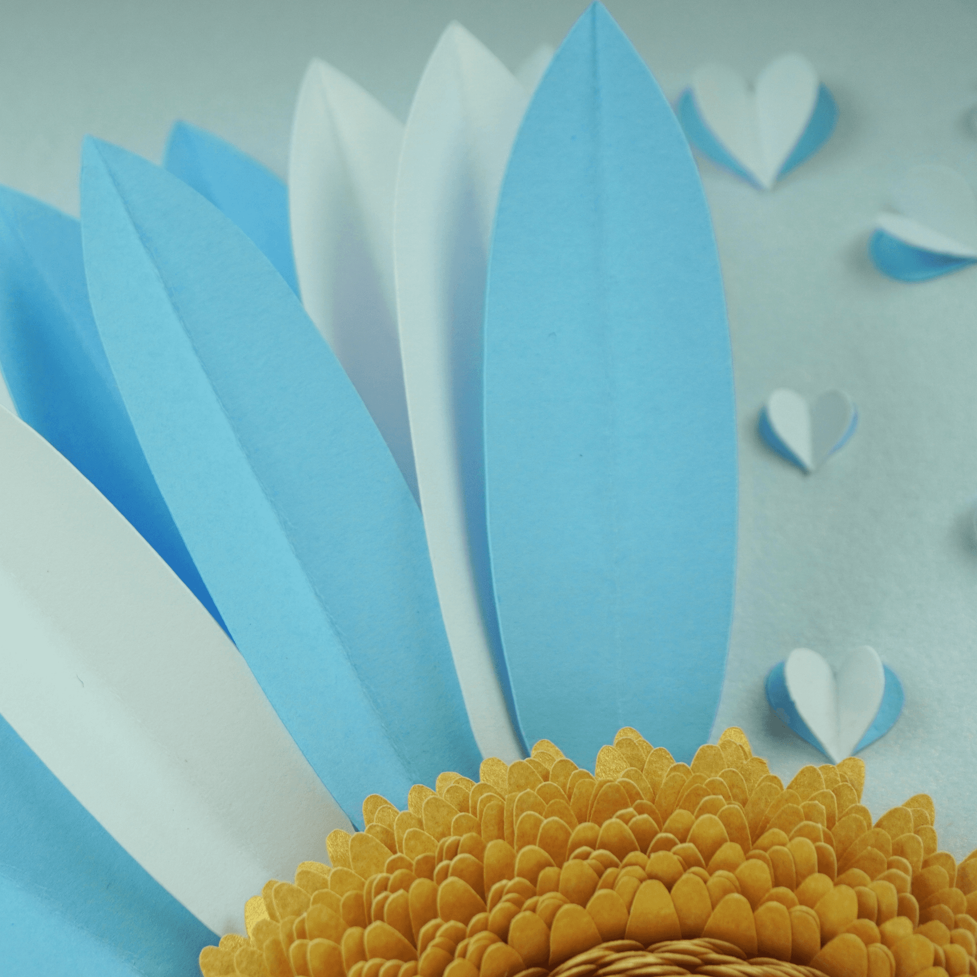 Girasol Argentina