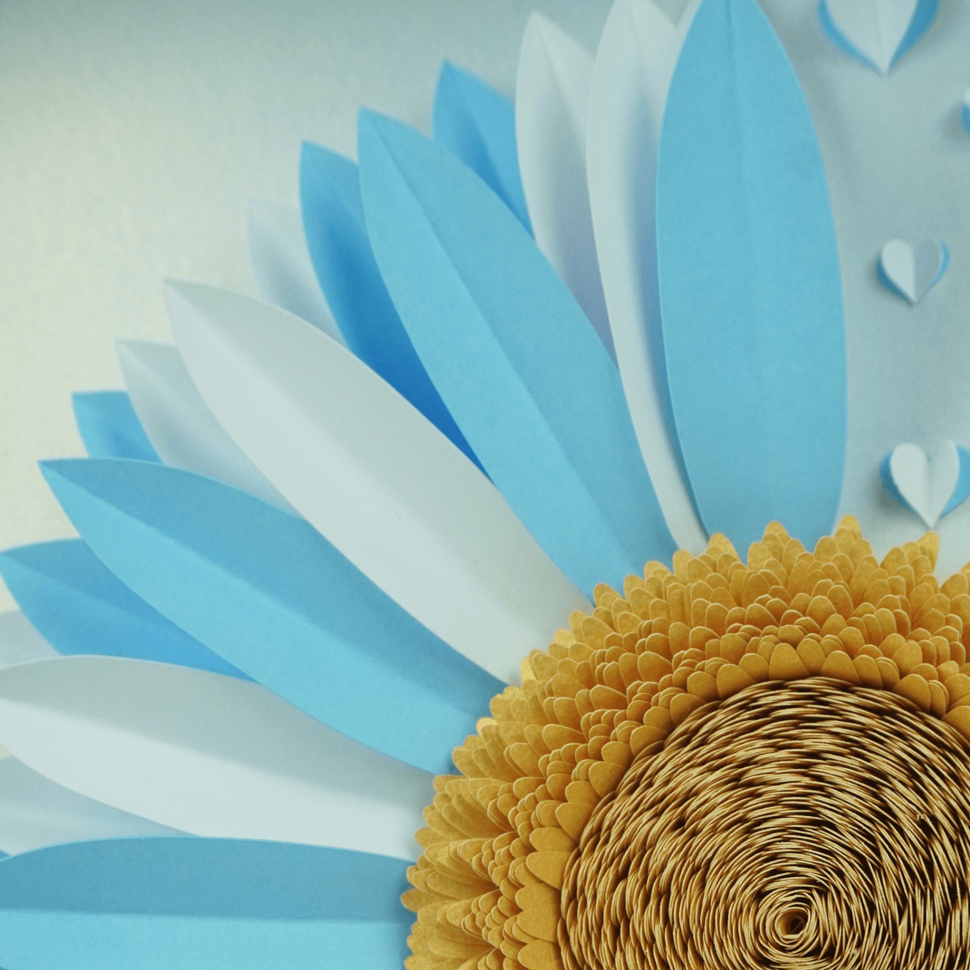 Girasol Argentina