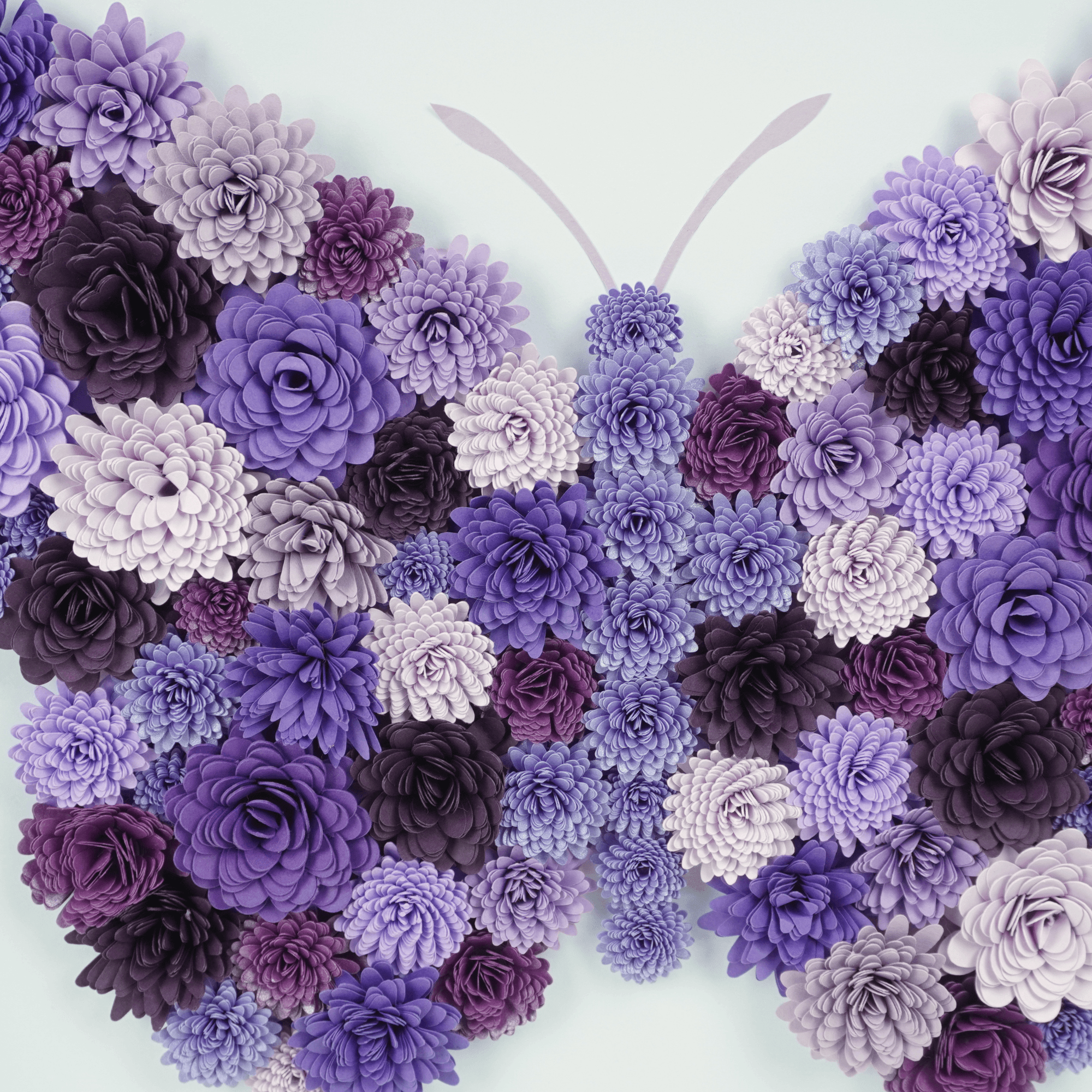 Butterfly Wings Purple