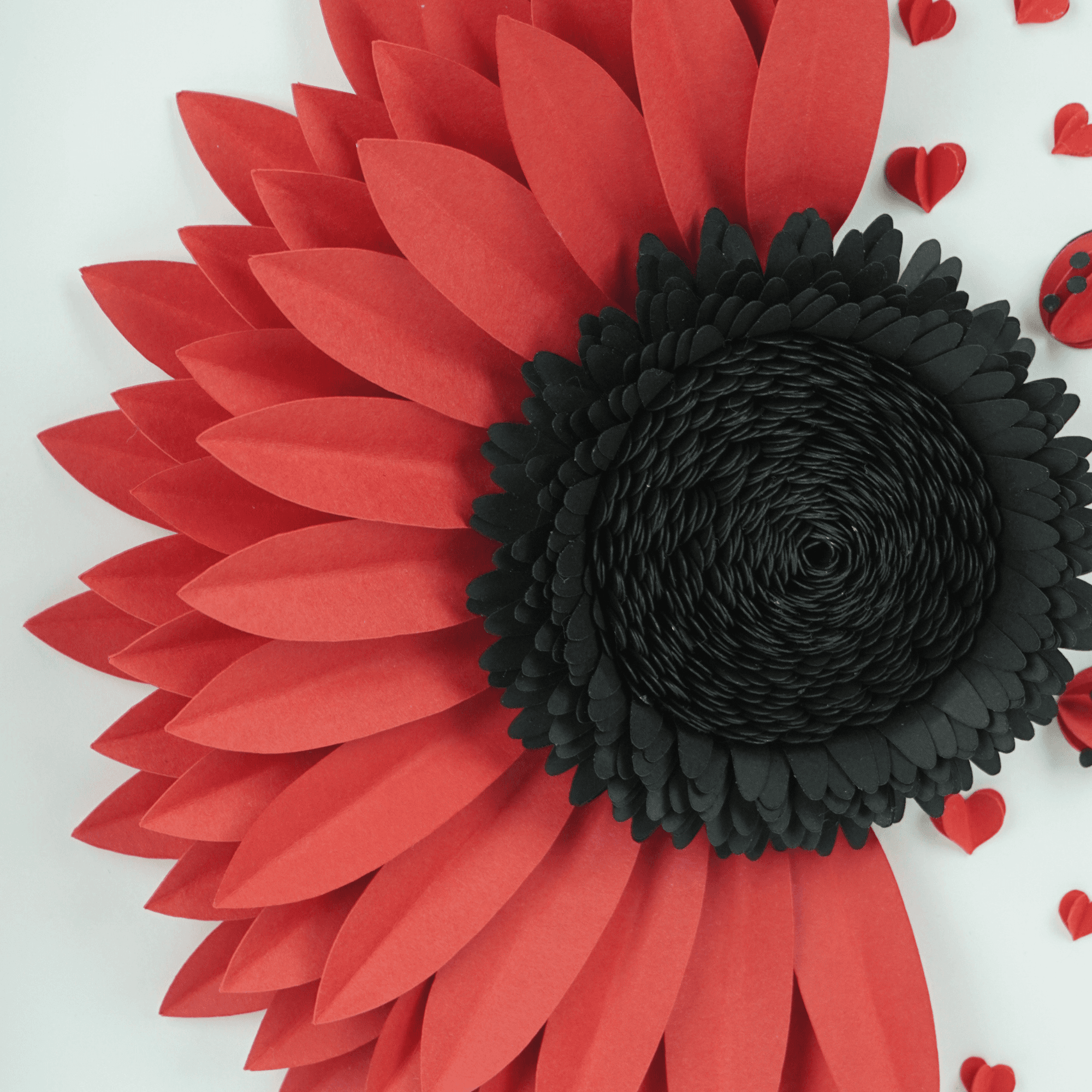 Ladybug Sunflower