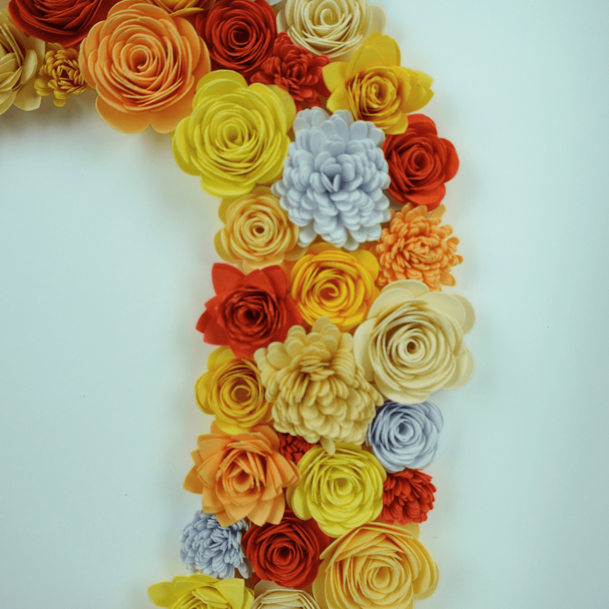 Inicial Jardin
